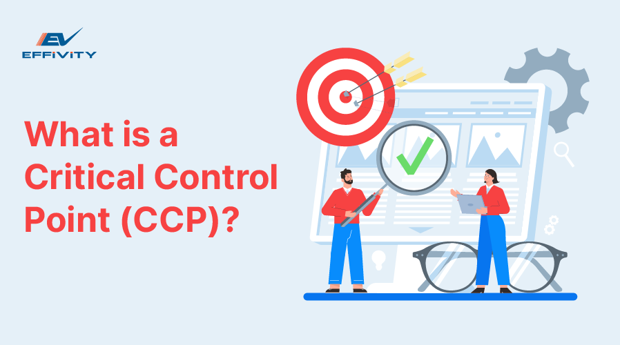 What is a Critical Control Point (CCP)?