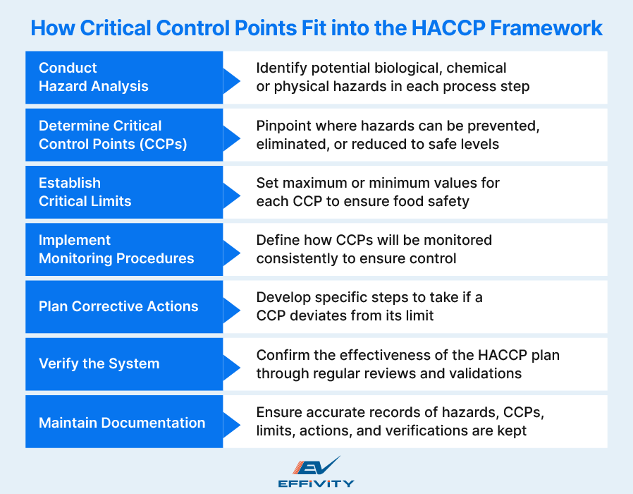 How Critical Control Points Fit into the HACCP Framework 