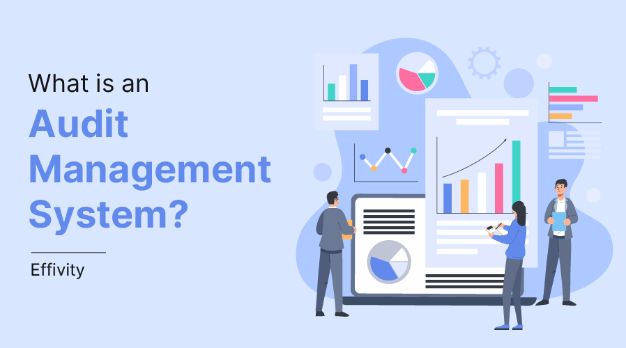 What is an Audit Management System? – Effivity
